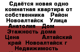 Сдаётся новая одно комнатная квартира от собственника › Район ­ Новоалтайск › Улица ­ Анатолия › Дом ­ 92 › Этажность дома ­ 10 › Цена ­ 8 000 - Алтайский край, Новоалтайск г. Недвижимость » Квартиры аренда   . Алтайский край,Новоалтайск г.